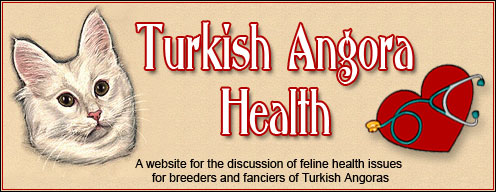 Turkish Angora Health website